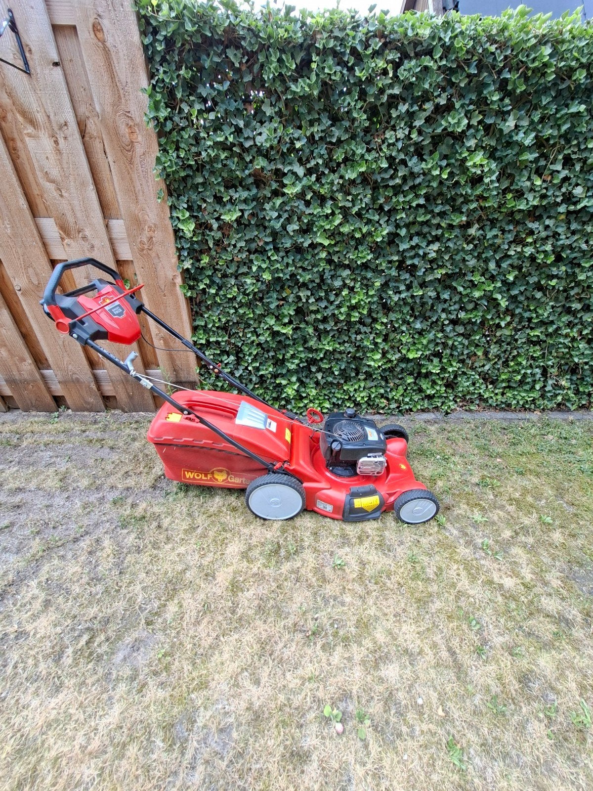 Wolf-Garten Expert 53 BA V HW Benzine Grasmaaier, Ophalen, Cirkelmaaier, Gebruikt, Opvangbak