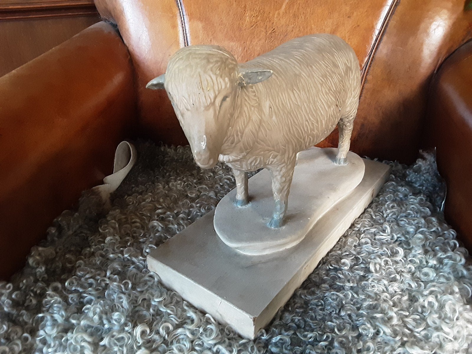 anatomisch model schaap ,onderwijs, Antiek en Kunst, Ophalen of Verzenden