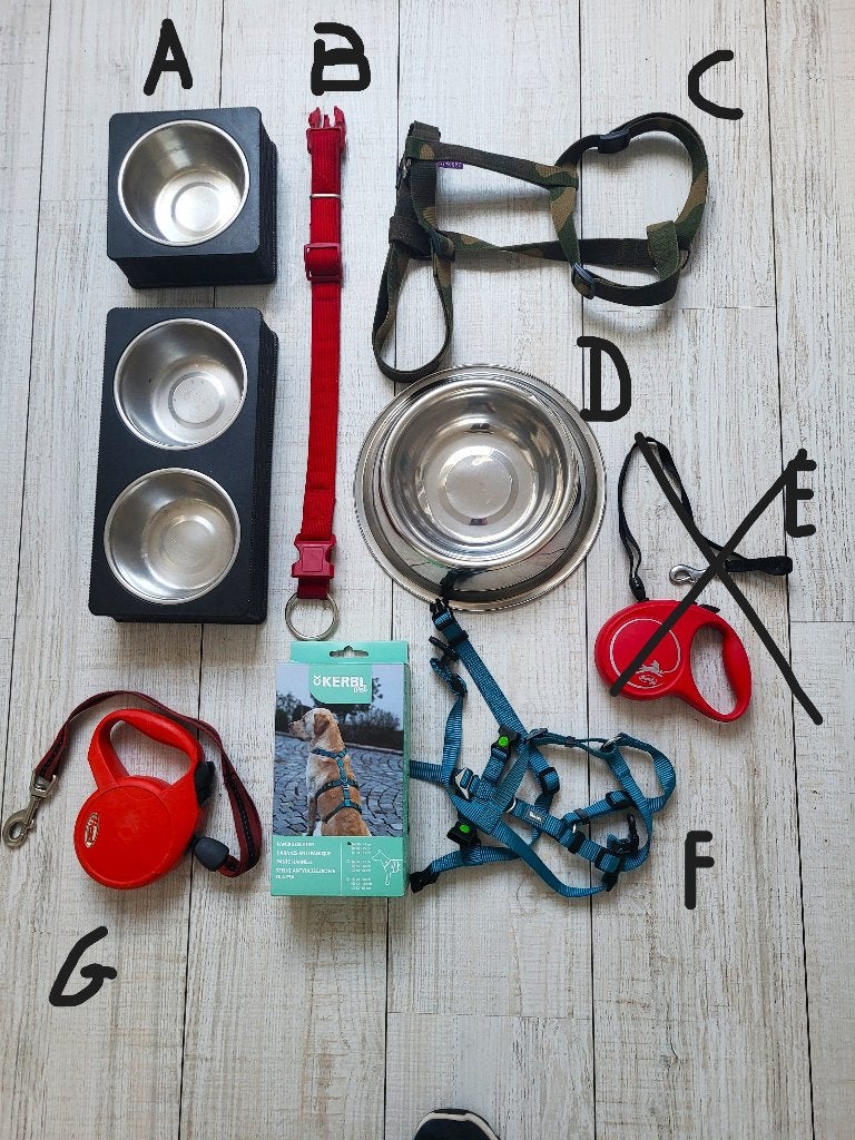 Eetbak, Harnassen, speeltje en leiband voor hond, Ophalen of Verzenden, Nieuw