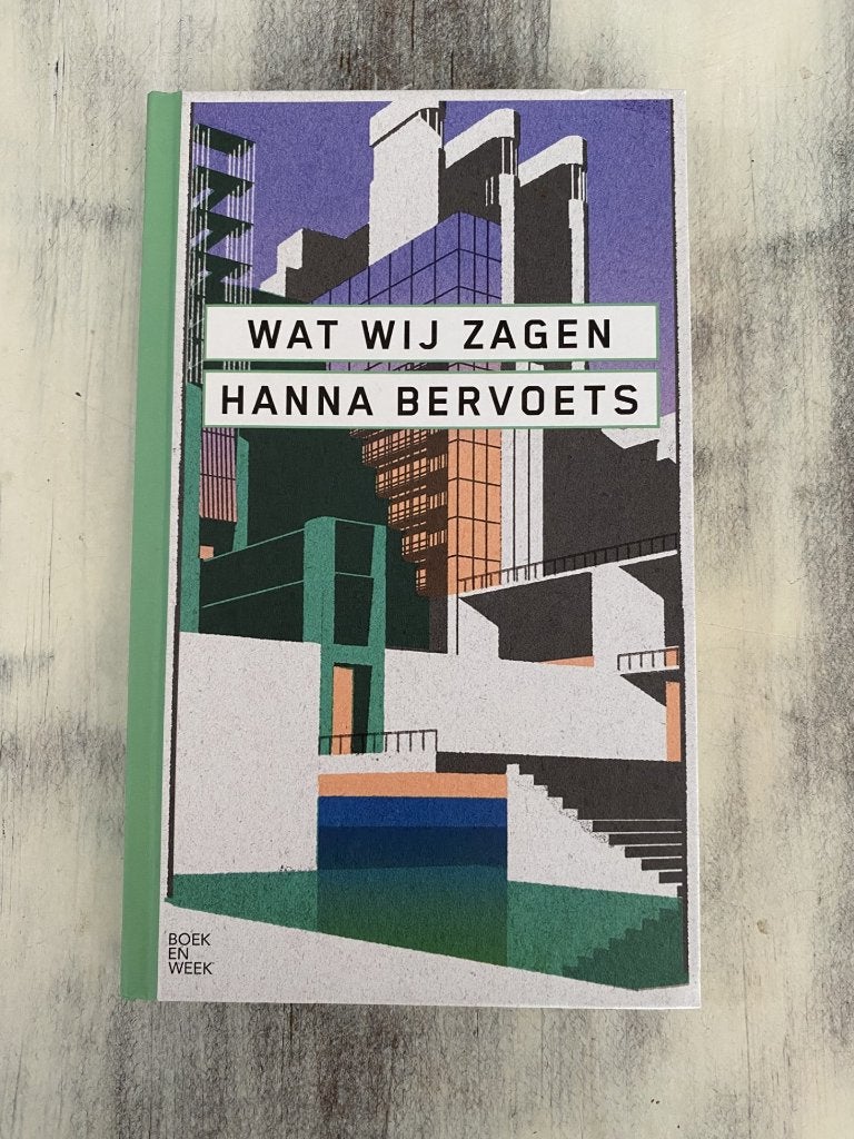 Wat wij zagen, Boeken, Ophalen of Verzenden, Zo goed als nieuw