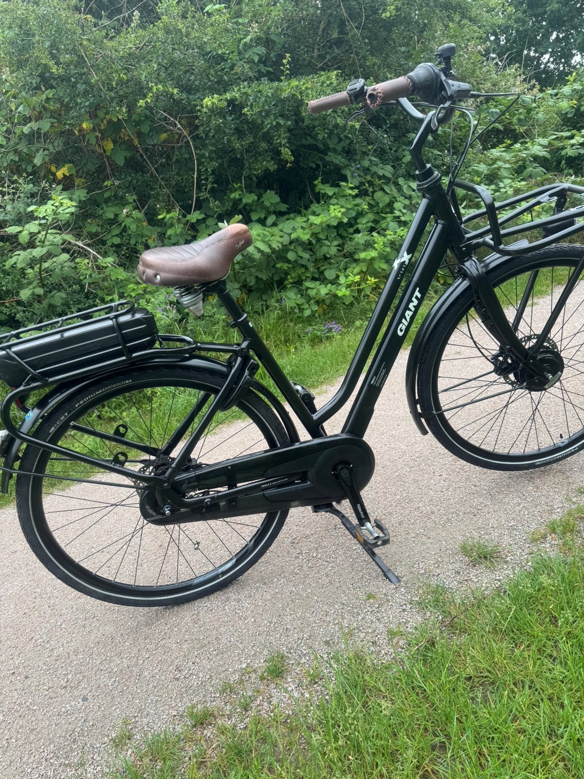 Elektrisch fiets giant triple x, Ophalen, Zo goed als nieuw