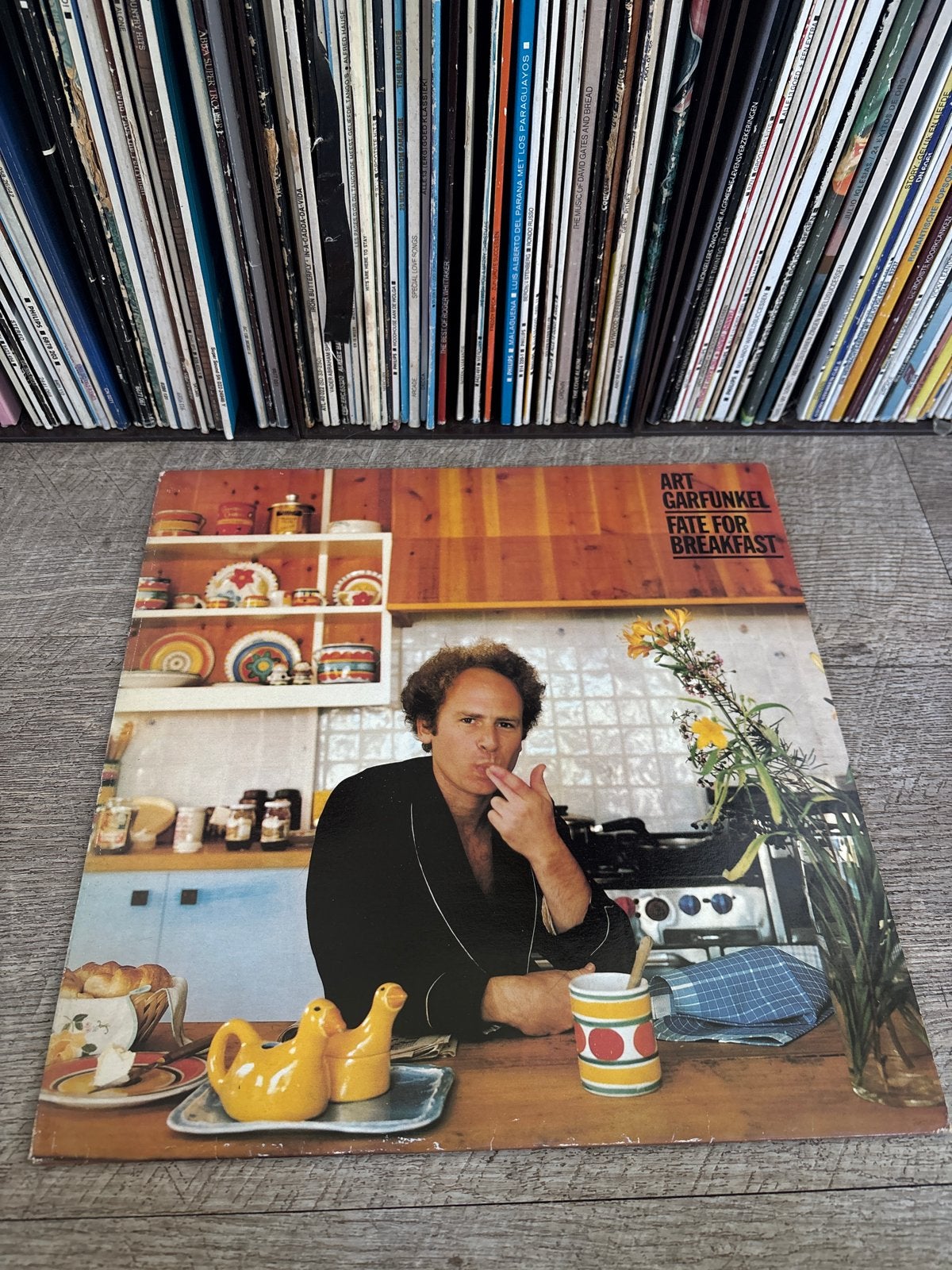 LP Art Garfunkel - Fate For Breakfast (Pop, Singer-songwrite, LP, Gebruikt, Pop, Ophalen of Verzenden