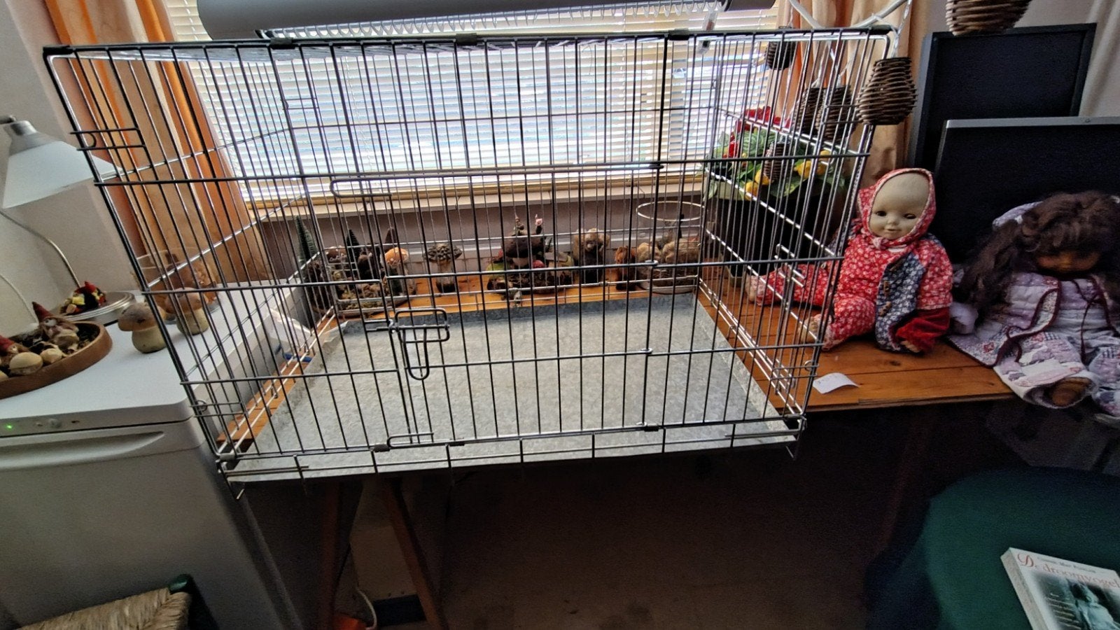 hondenbench te koop, Ophalen, Gebruikt