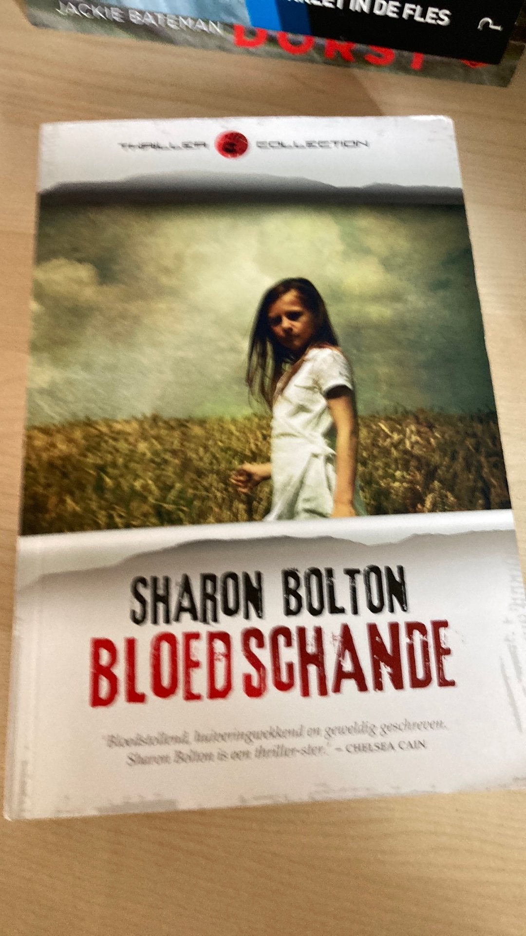 Sharon Bolton - Bloedschande, Boeken, Thrillers, Ophalen of Verzenden, Zo goed als nieuw, Sharon Bolton
