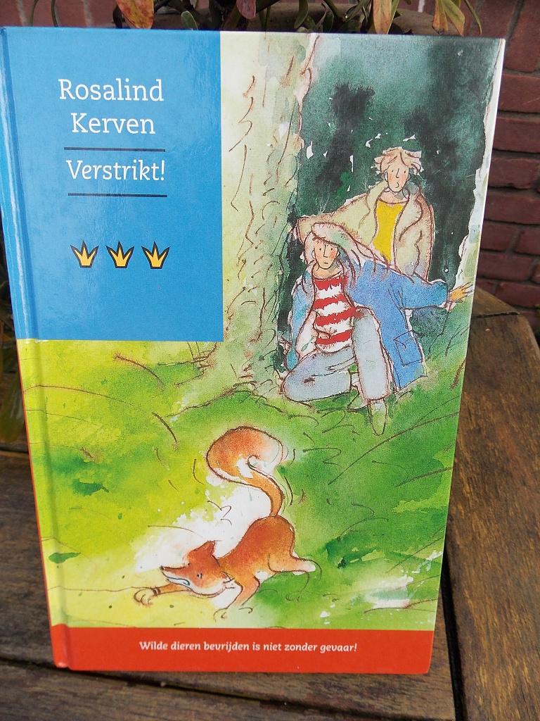 Verstrikt - Rasalind Kerven - boek, Ophalen of Verzenden, Gelezen, Fictie algemeen
