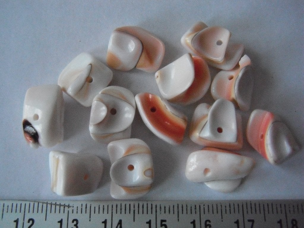 set schelp kralen, Ophalen of Verzenden, Nieuw, Kraal