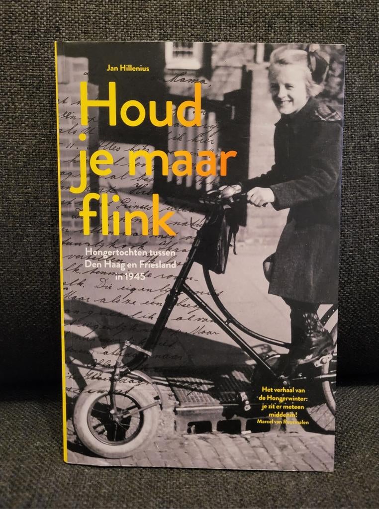 Jan Hillenius - Houd je maar flink WO2 Den Haag-Friesland, Ophalen of Verzenden, Zo goed als nieuw, Jan Hillenius