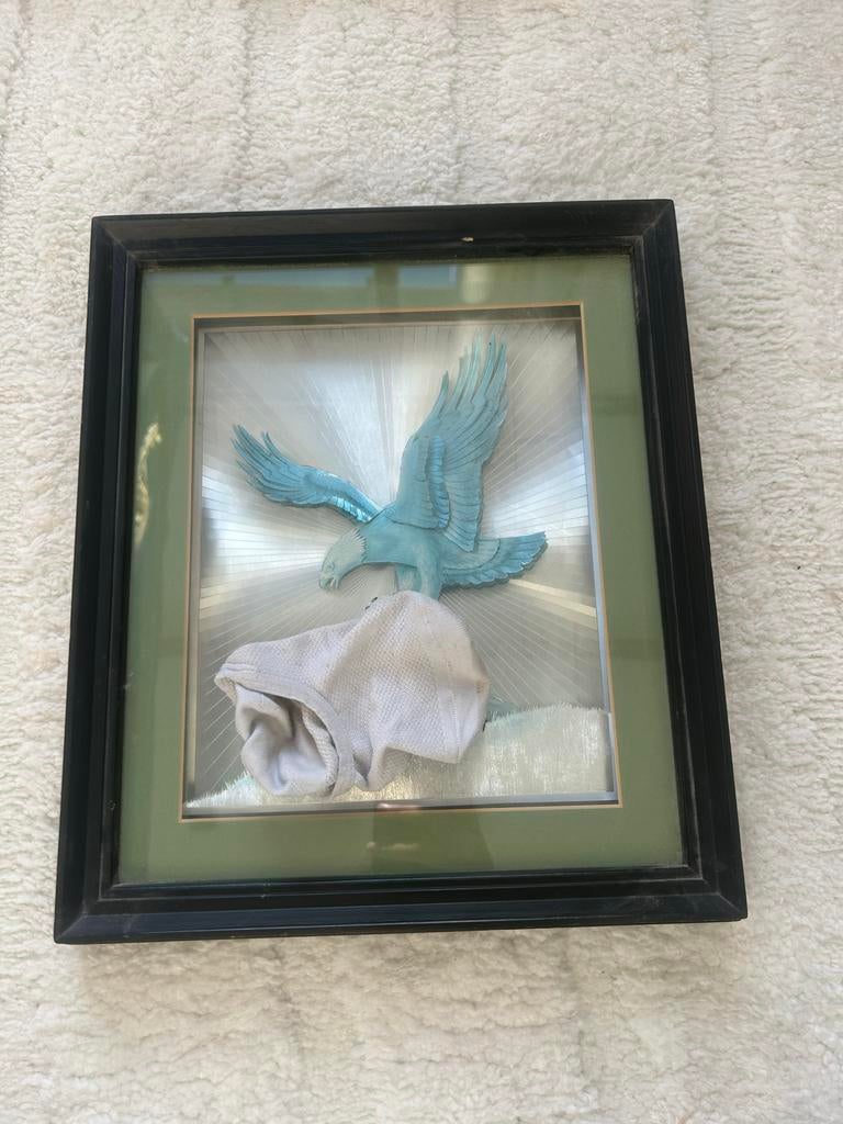 Ingelijste Adelaar Wanddecoratie, Blauw, Kunststof, Ophalen of Verzenden, Wanddecoratie