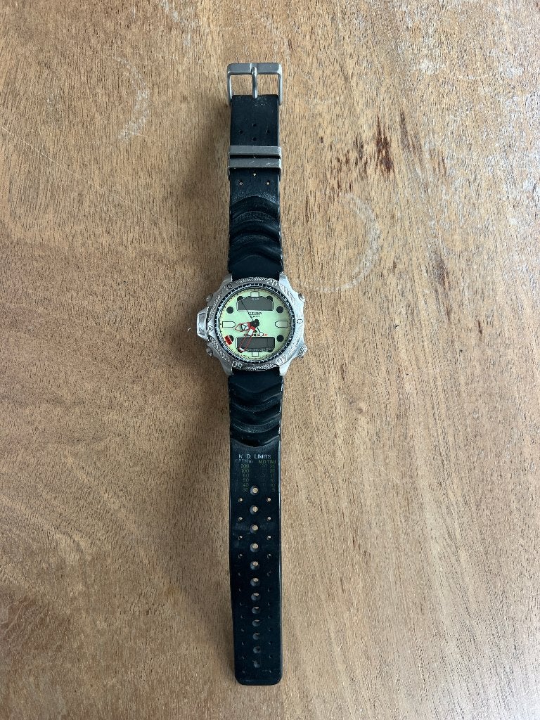 Citizen Promaster duikhorloge, Gebruikt, Staal, Kunststof, Ophalen of Verzenden