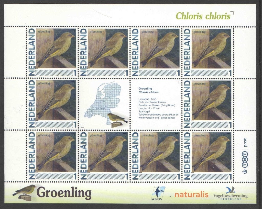 Postzegels Vogels in Nederland: Groenling, Ophalen of Verzenden, Na 1940, Postfris