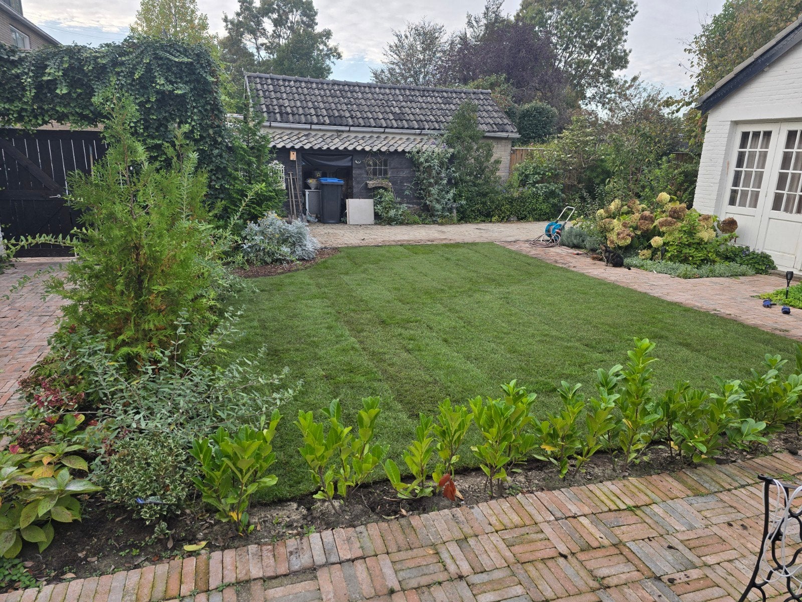 10m2 graszoden nog op rol, Ophalen