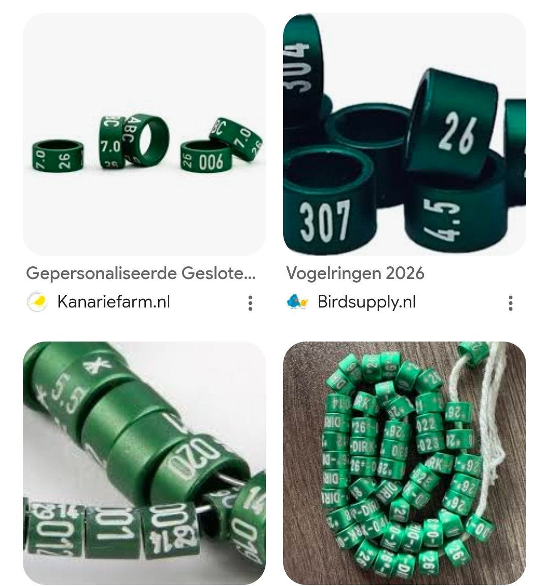 Kanarie ringen 2026, Dieren en Toebehoren, Vogels | Kanaries, Kleurkanarie