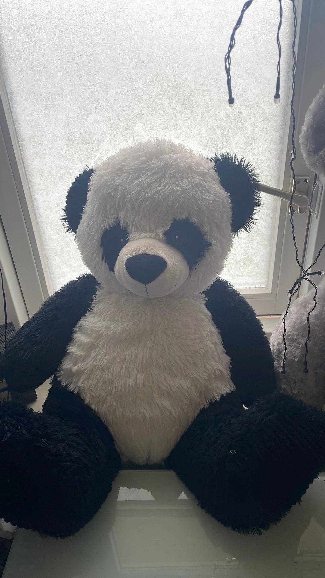 Pandabeer, Verzamelen, Ophalen, Zo goed als nieuw, Stoffen beer, Overige merken