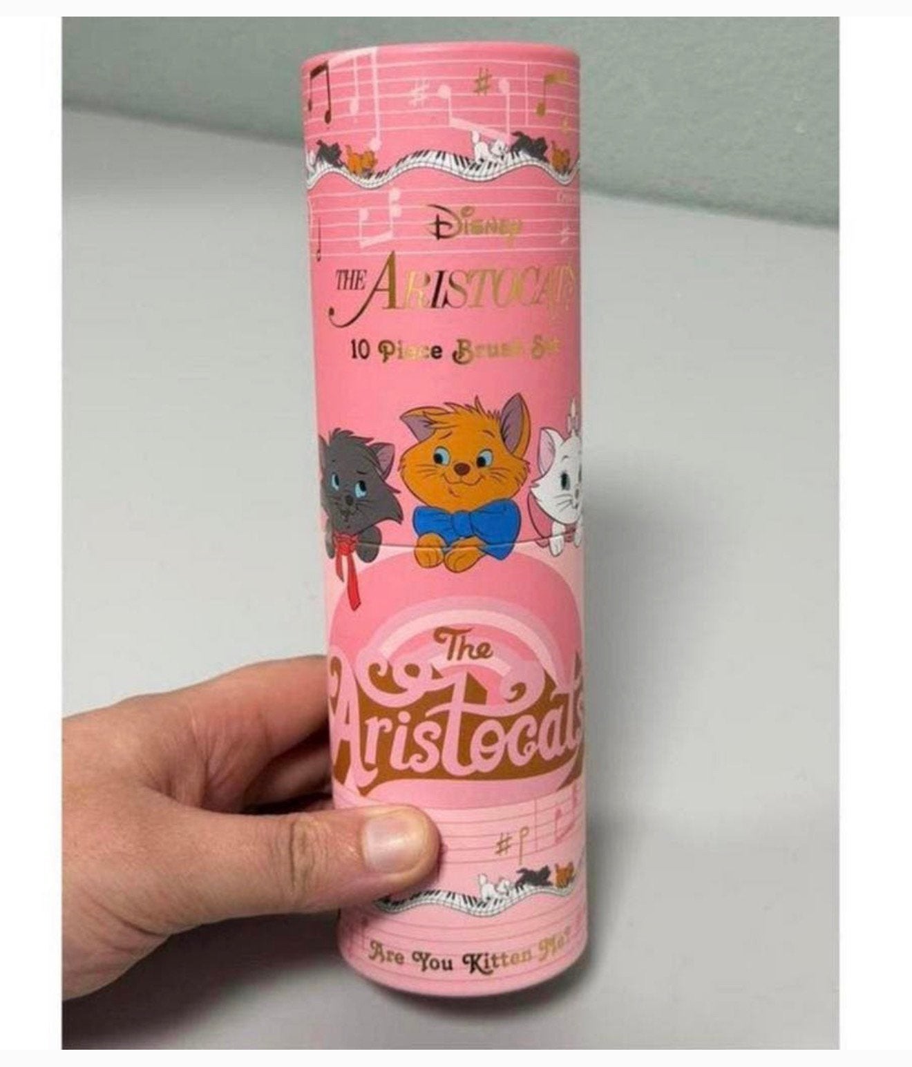 Aristocats Are You Kitten Me? 10 Piece Marie Brush ZELDZAAM, Gehele gezicht, Nieuw, Ophalen of Verzenden, H