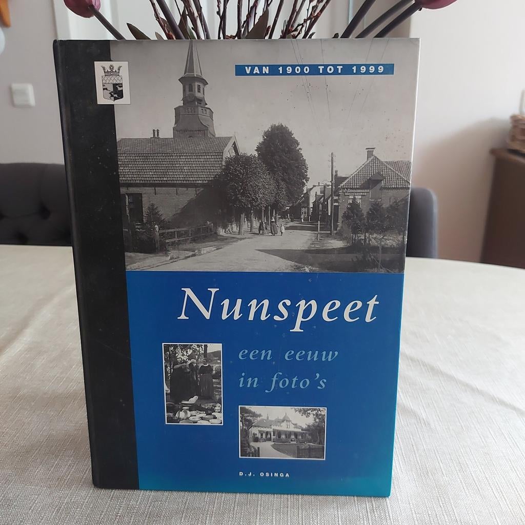 Nunspeet: Een Eeuw in Foto's (1900-1999) - D.J. Osinga, Boeken, Ophalen of Verzenden, 20e eeuw of later, Zo goed als nieuw, D.J. Osinga