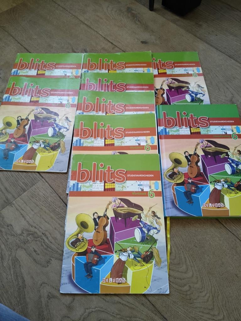 Blits Studievaardigheden Groep 6 Werkboeken (Set), Boeken, Ophalen, Gelezen, Overige niveaus