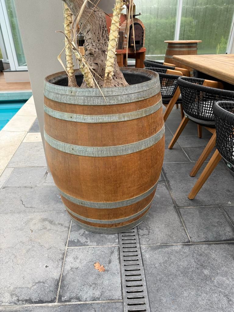 Wijnvat plantenbak - Houten bloembak, Ophalen, Gebruikt, Rond, Binnen