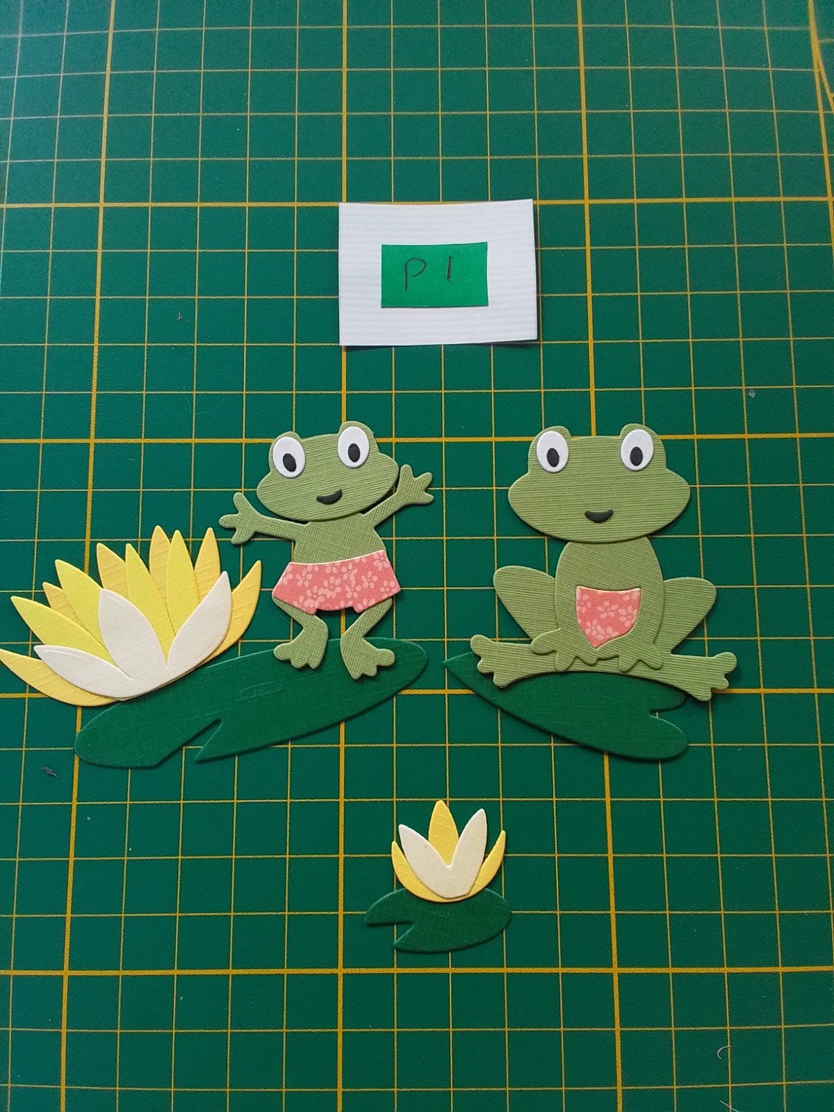 P1 Stansjes 2 kiwi groene kikkers, Ophalen of Verzenden, Nieuw, Overige thema's, Overige typen