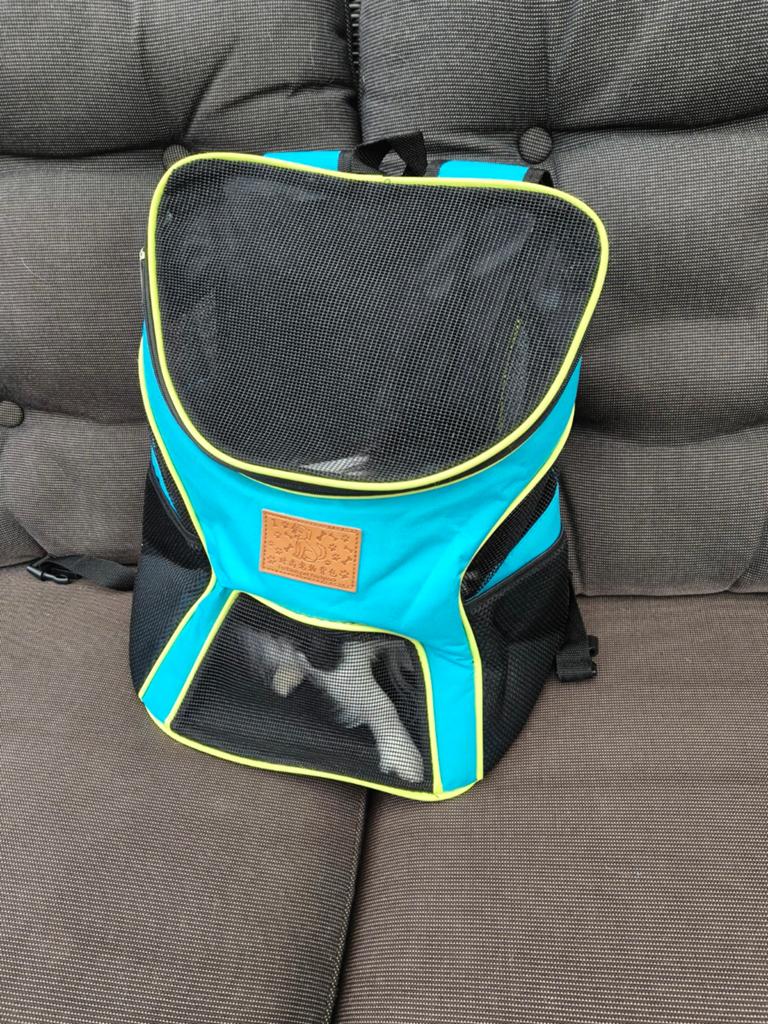 Hondenrugtas voor een chihuahua of ander klein hondenras, Ophalen of Verzenden, Zo goed als nieuw