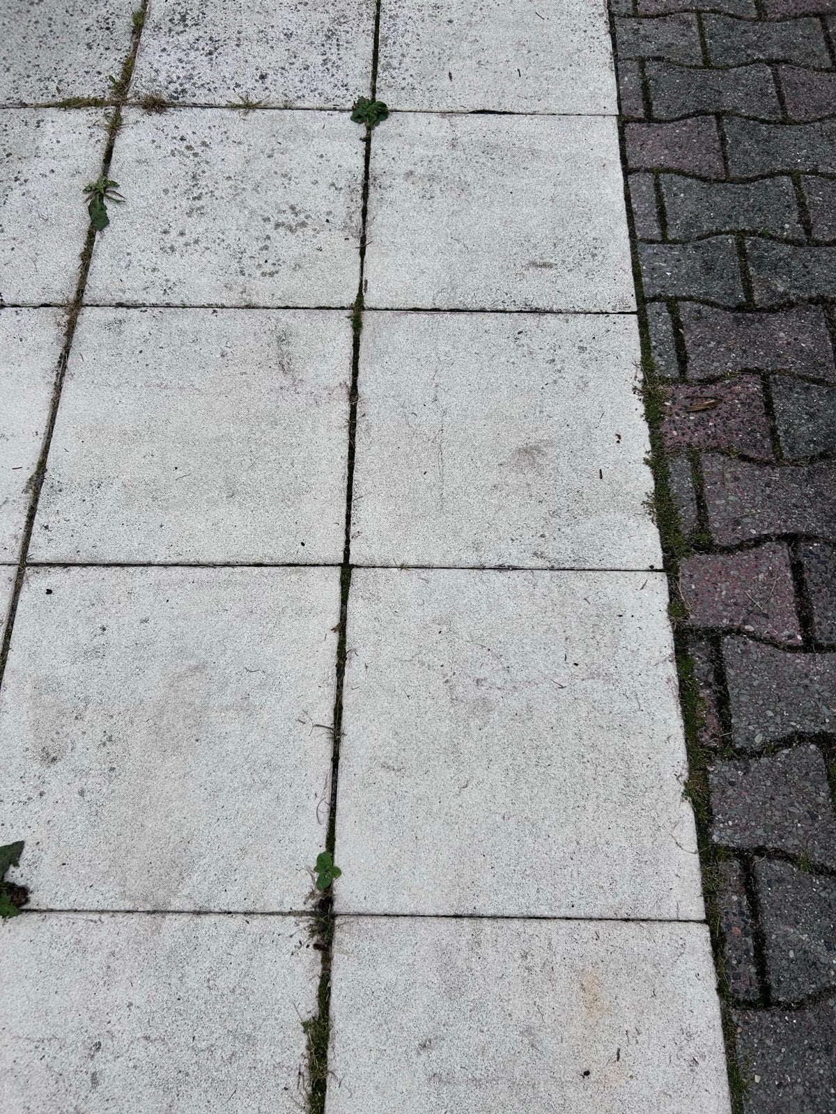 Gebruikte terrastegels, Ophalen, Gebruikt, 10 m² of meer, Beton