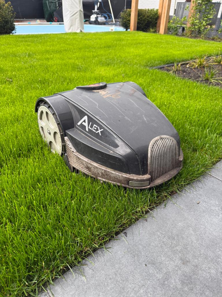 Robotgrasmaaier ambrogio alex, Ophalen, Gebruikt, 20 tot 25 cm, Met regensensor