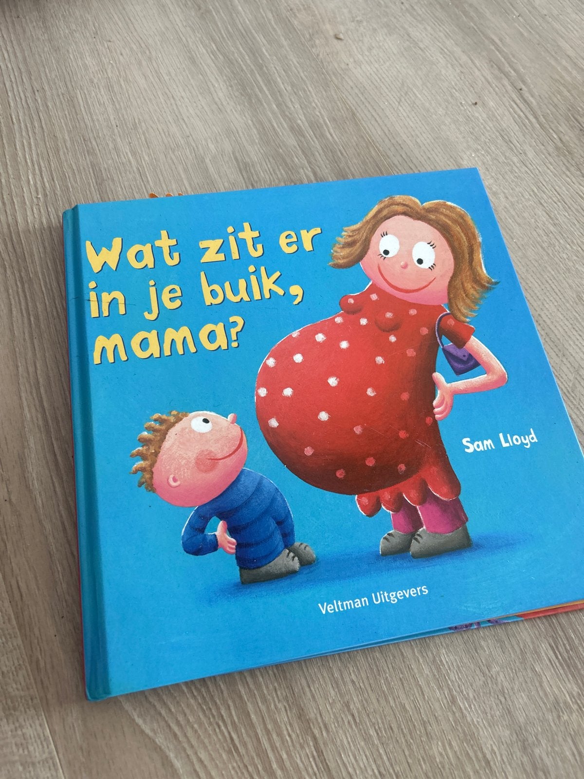 Wat zit er in je buik, mama? - en overige artikelen, Verzenden, Zo goed als nieuw, Zwangerschap en Bevalling