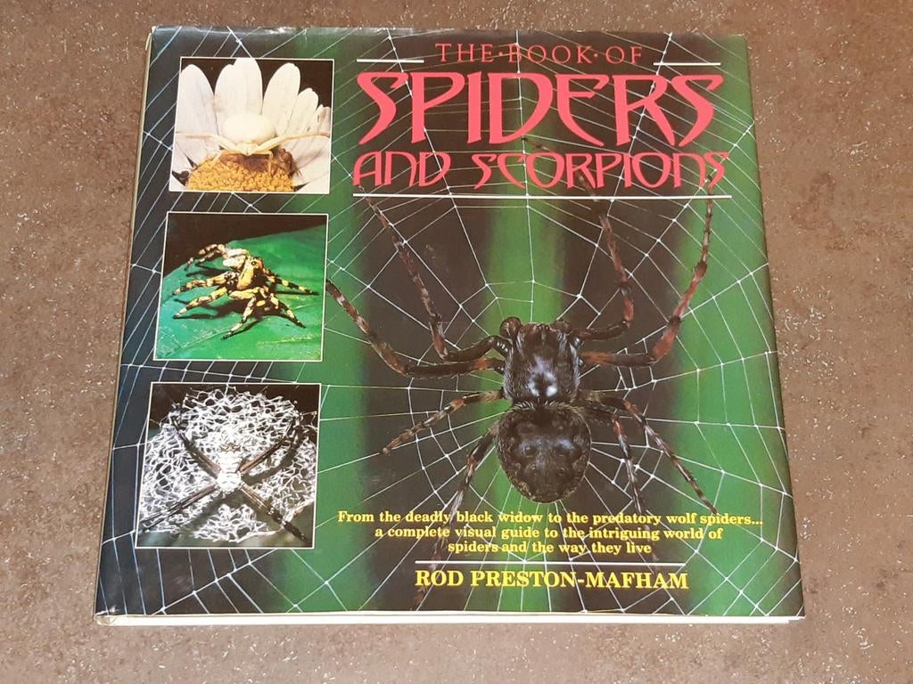 Spiders and scorpions / spinnen, Ophalen of Verzenden, Zo goed als nieuw, Katten