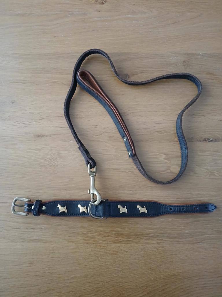Westie lederen Halsband met Riem( Nieuwstaat), Ophalen of Verzenden, Zo goed als nieuw