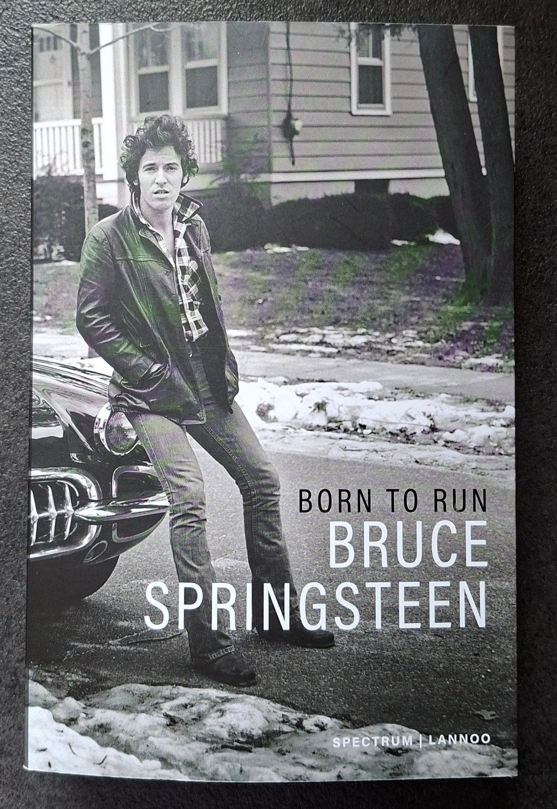 Borne to Run - Bruce Springsteen ( Mijn verhaal), Ophalen of Verzenden