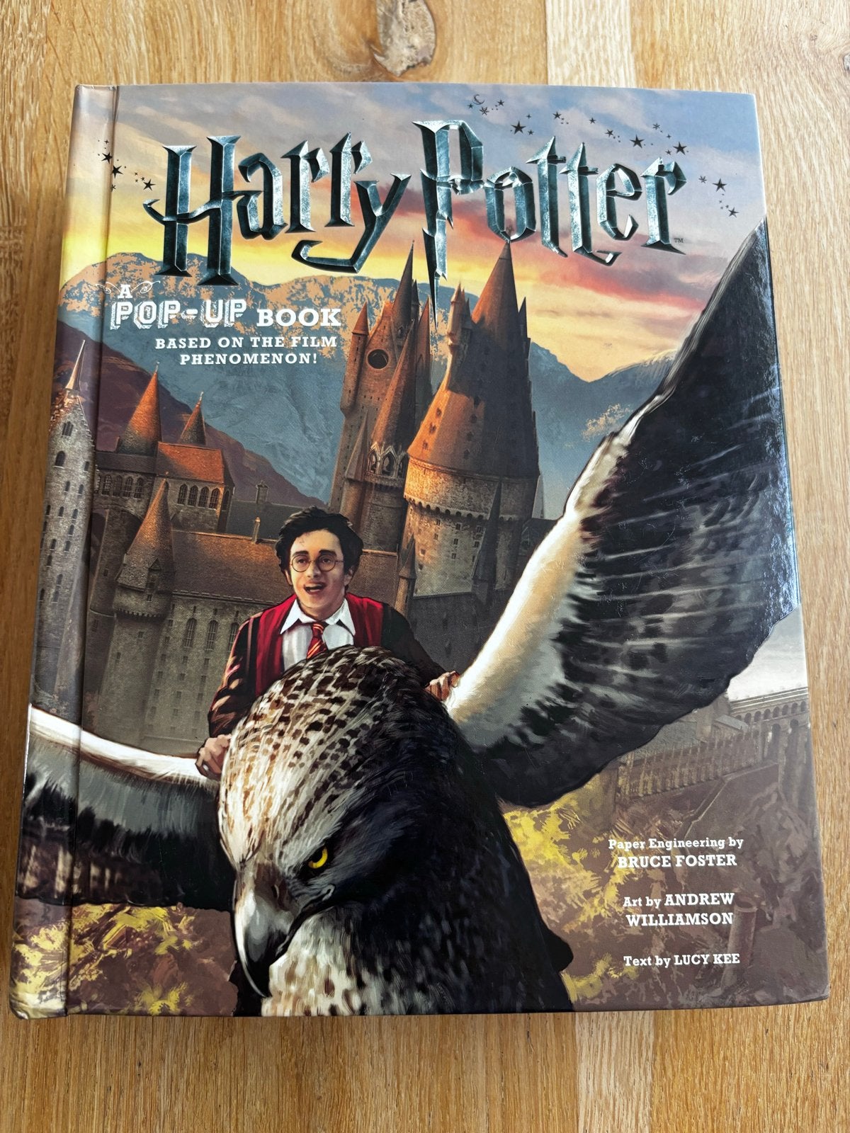 Harry Potter Pop-Up Boek, Ophalen of Verzenden, Gelezen