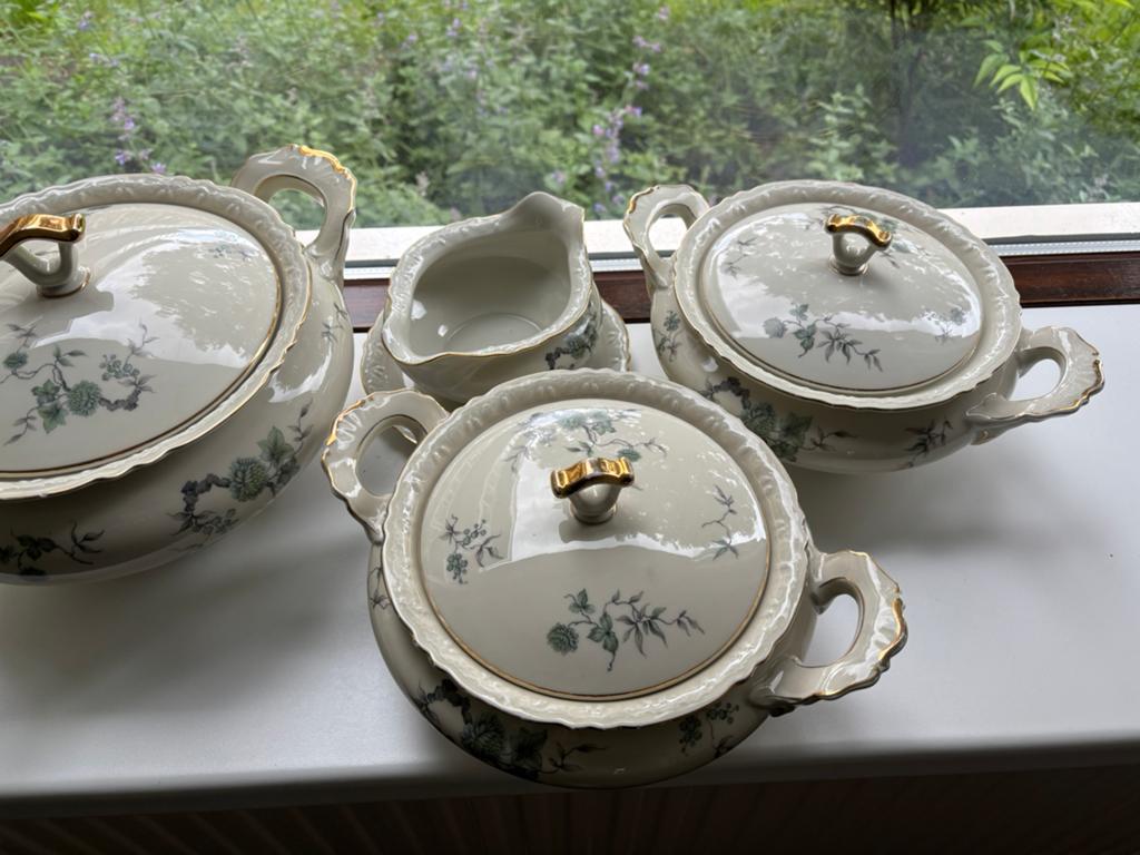 Meer dan compleet servies van Hertel Jacob Bavaria, Antiek en Kunst, Antiek | Servies compleet, Ophalen