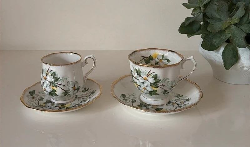 2 Royal Albert White Dogwood kop en schotels, Huis en Inrichting, Keuken | Servies, Ophalen of Verzenden, Zo goed als nieuw, Overige stijlen