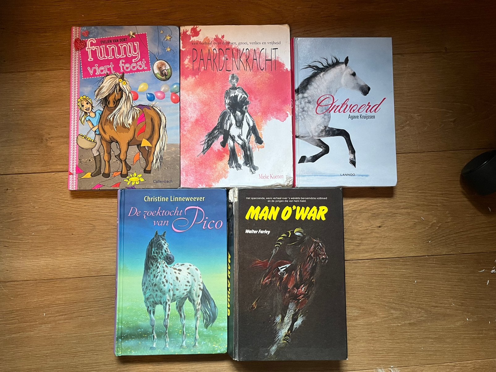 Paarden boeken 5, Boeken, Ophalen of Verzenden, Gelezen, Fictie