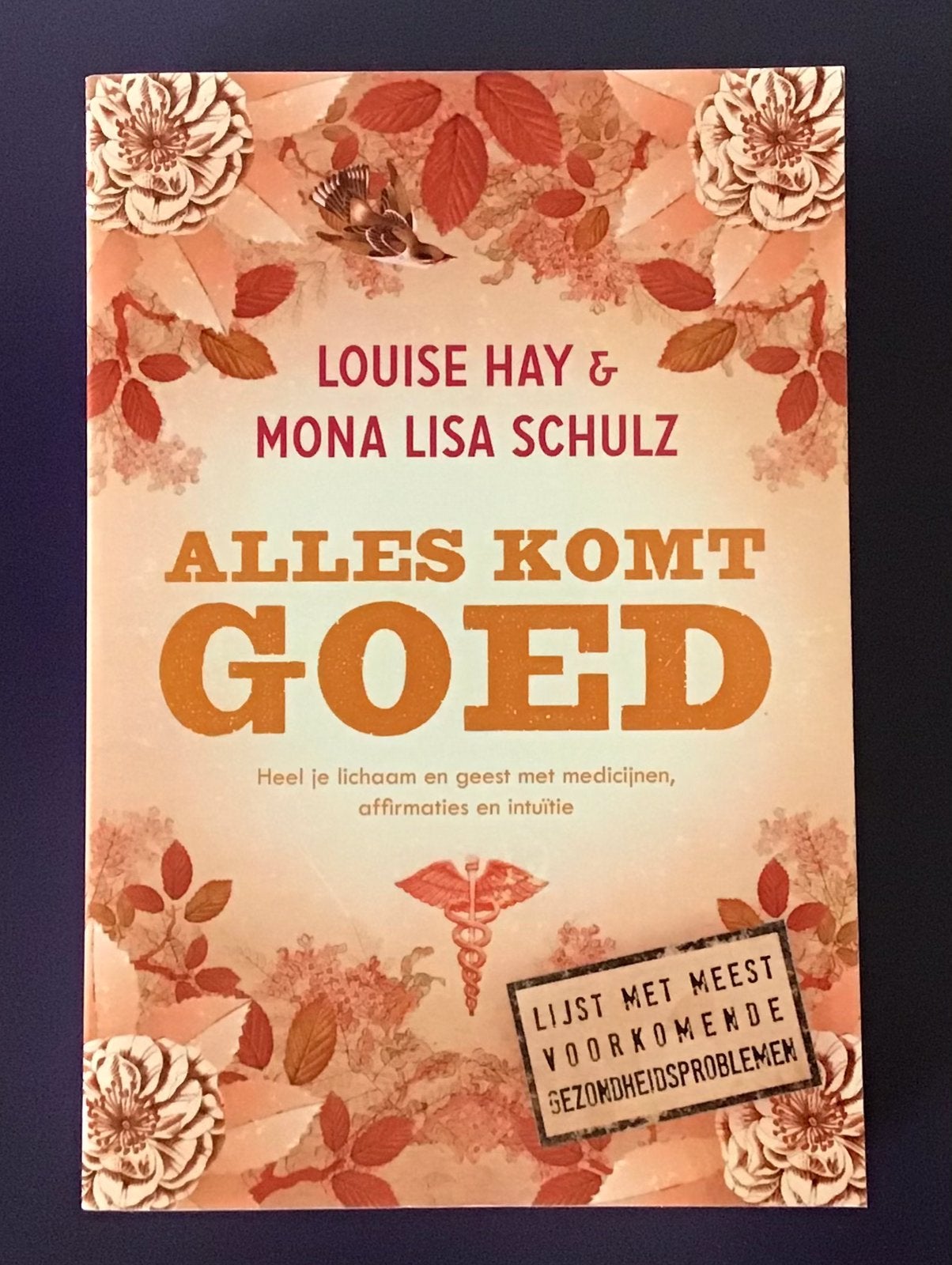 Louise Hay - Alles komt goed, Ophalen of Verzenden, Zo goed als nieuw