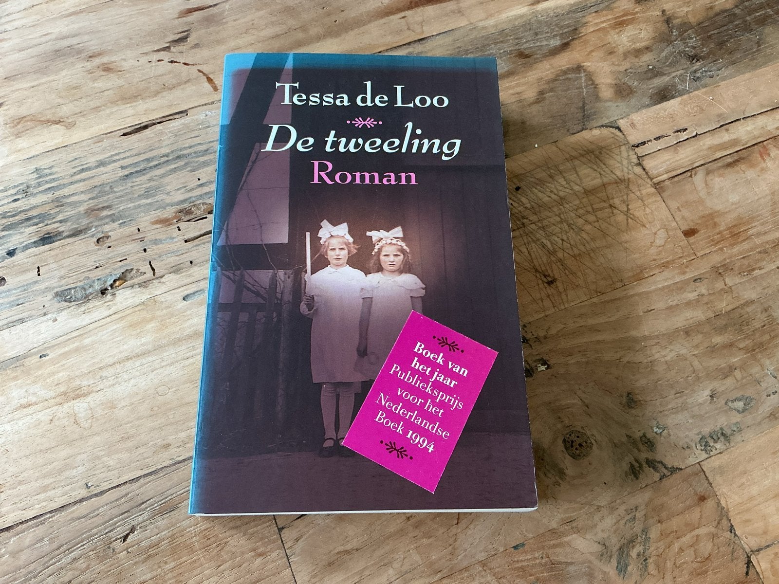 Tessa de Loo - De tweeling (Roman), Boeken, Ophalen of Verzenden, Gelezen, Nederland