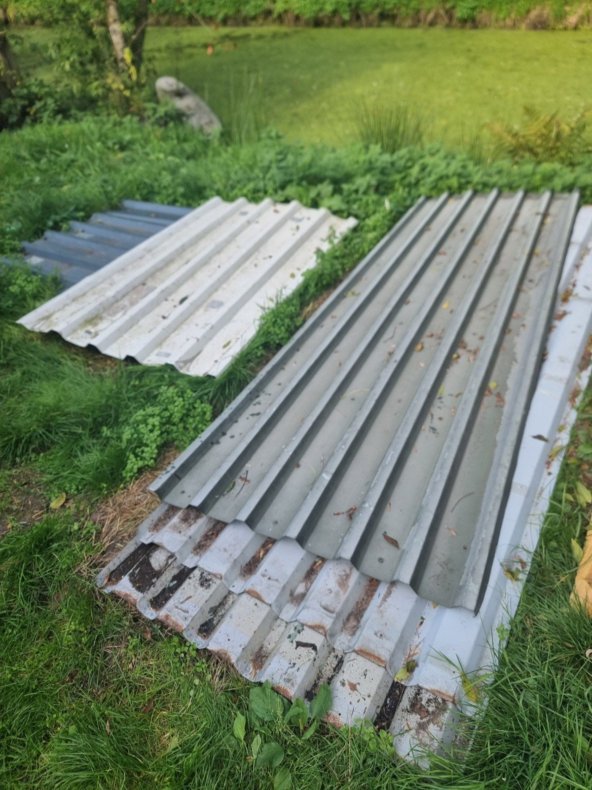 Gebruikte golfplaten voor dak of schuur, Ophalen, Gebruikt, Minder dan 5 m², Golfplaat