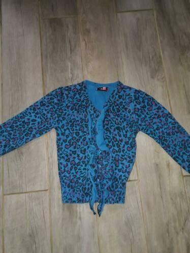 Vingino Vest, Verzenden, Zo goed als nieuw, Meisje, Trui of Vest