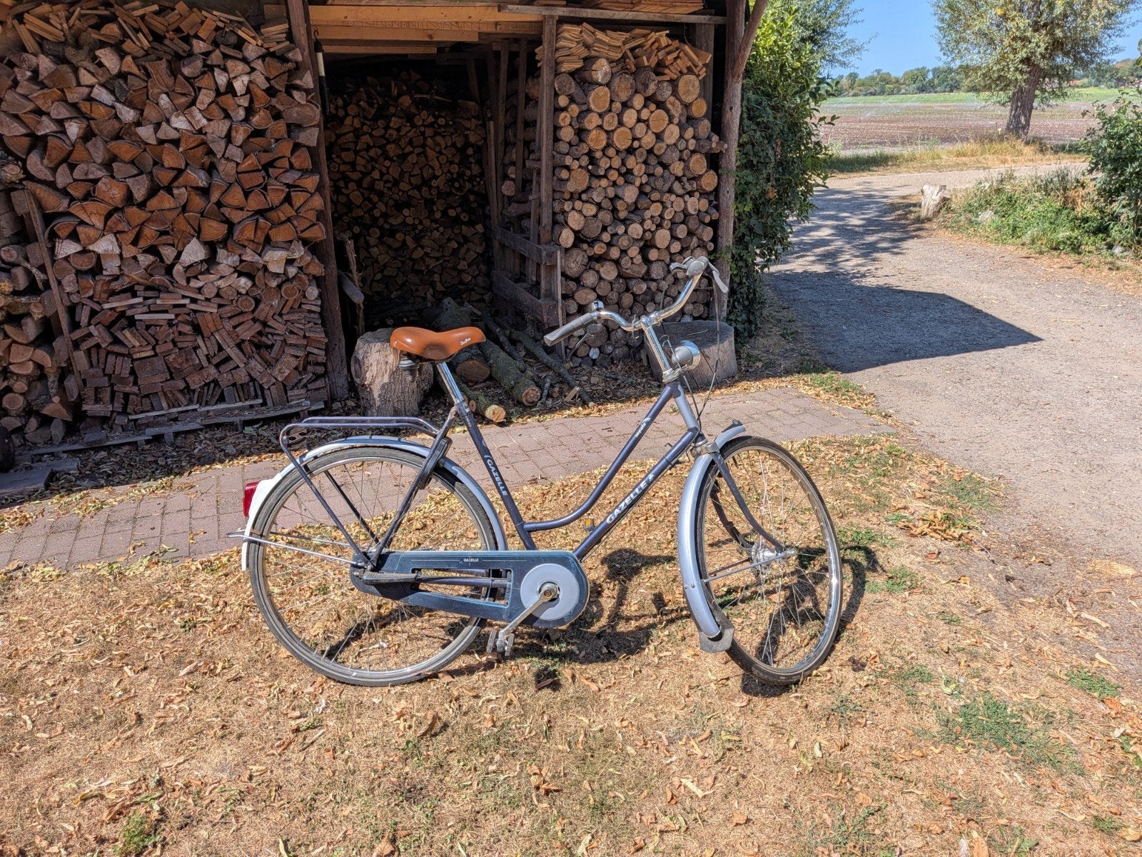Gazelle damesfiets, Ophalen, Versnellingen, Gazelle, Trommelrem