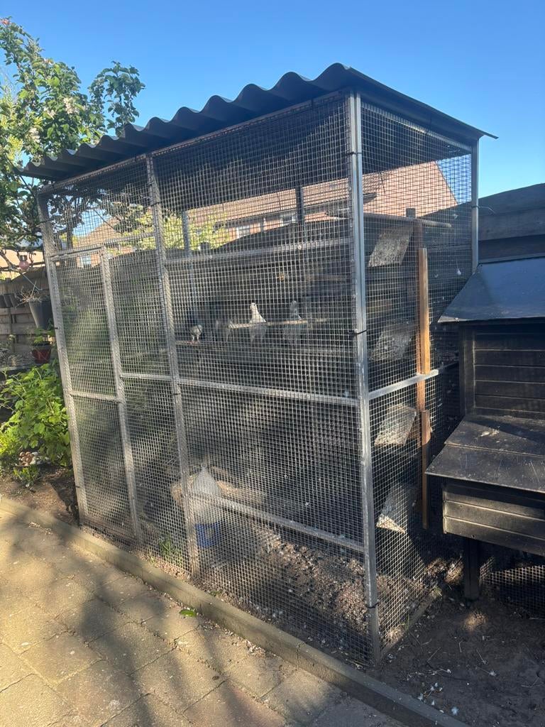 Volierè/kattenren met dubbel gaas panelen aluminium, Ophalen, Gebruikt, Aluminium, Volière