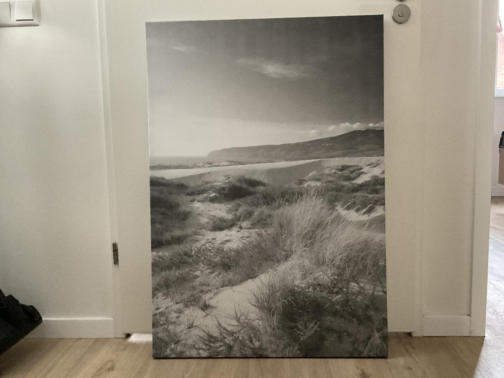 Canvas schilderij, Ophalen, Zo goed als nieuw, Schilderij, 75 cm of meer