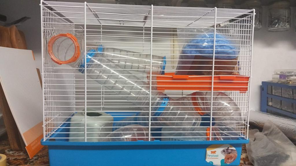 Hamsterkooi zgan, Dieren en Toebehoren, Knaagdieren en Konijnen | Hokken en Kooien, Kooi, Minder dan 75 cm, Zo goed als nieuw
