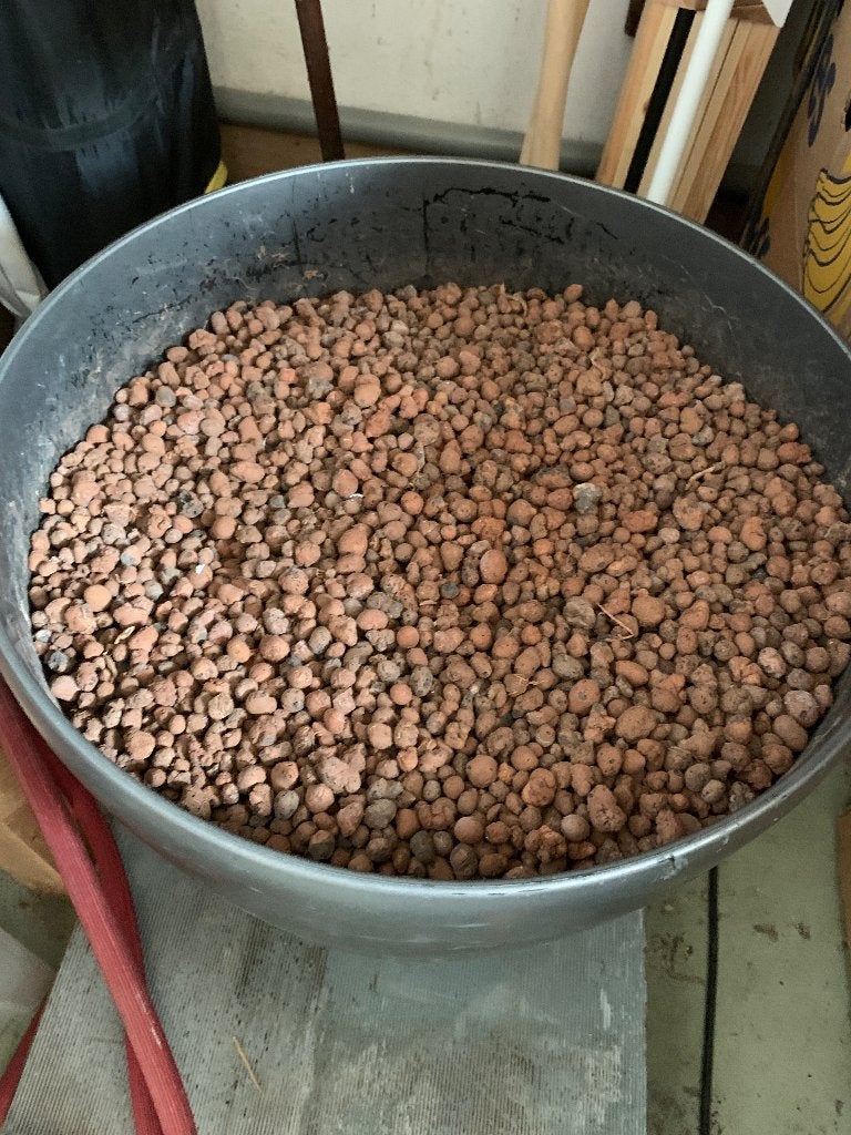 hydro klei korrels, Tuin en Terras, Planten | Tuinplanten, Ophalen, Overige soorten, Volle zon