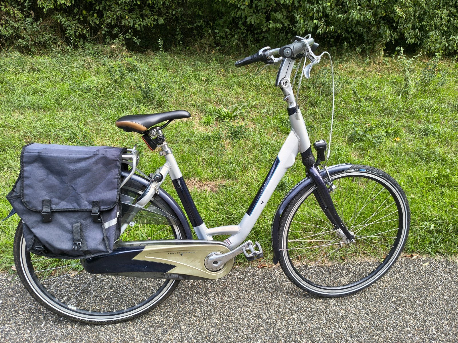 Sparta damesfiets met 8 versnellingen en fietstassen, Ophalen, Sparta, 53 tot 56 cm, Velgrem
