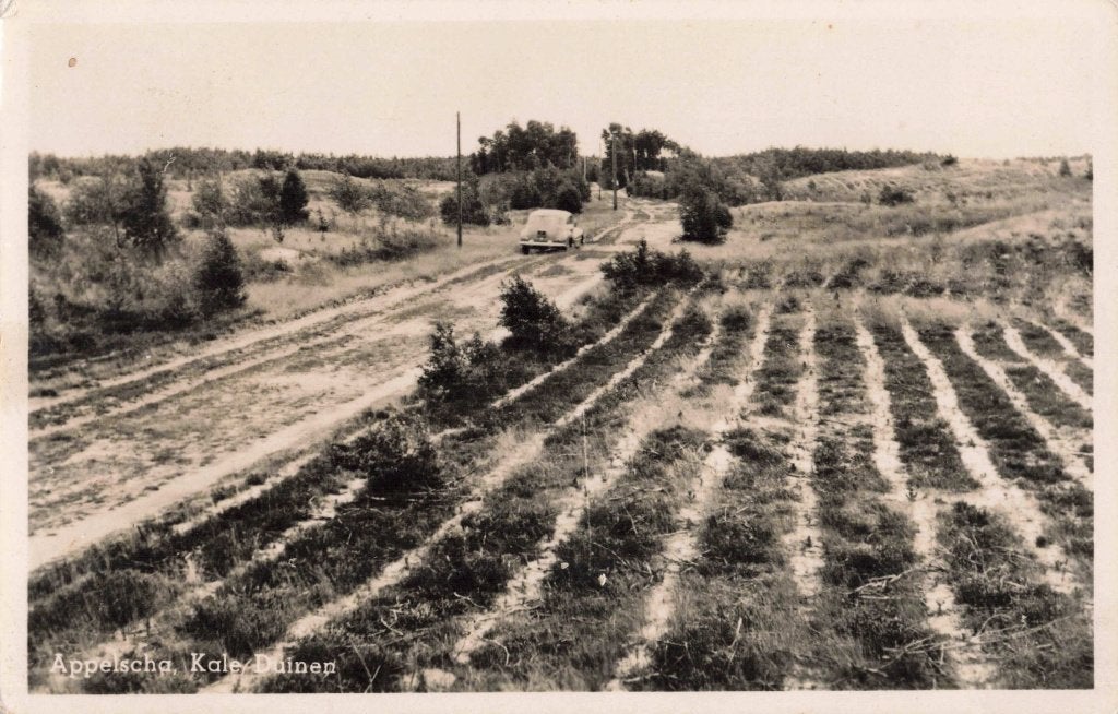 Appelscha Kale Duinen auto L2812, Ophalen, 1940 tot 1960, Gelopen, Friesland