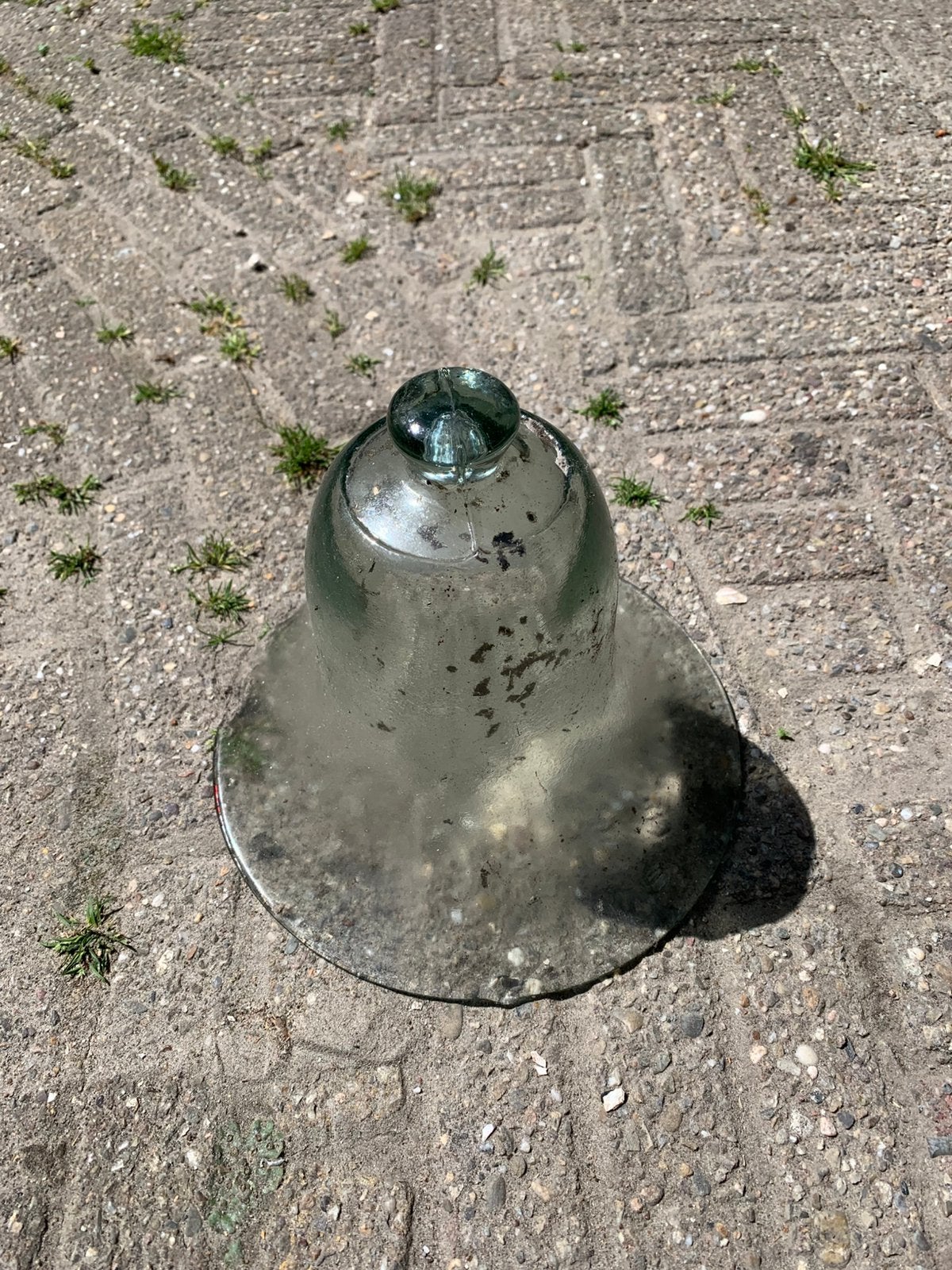 Glazen kweek Closhe stolpglazen, Ophalen, Gebruikt