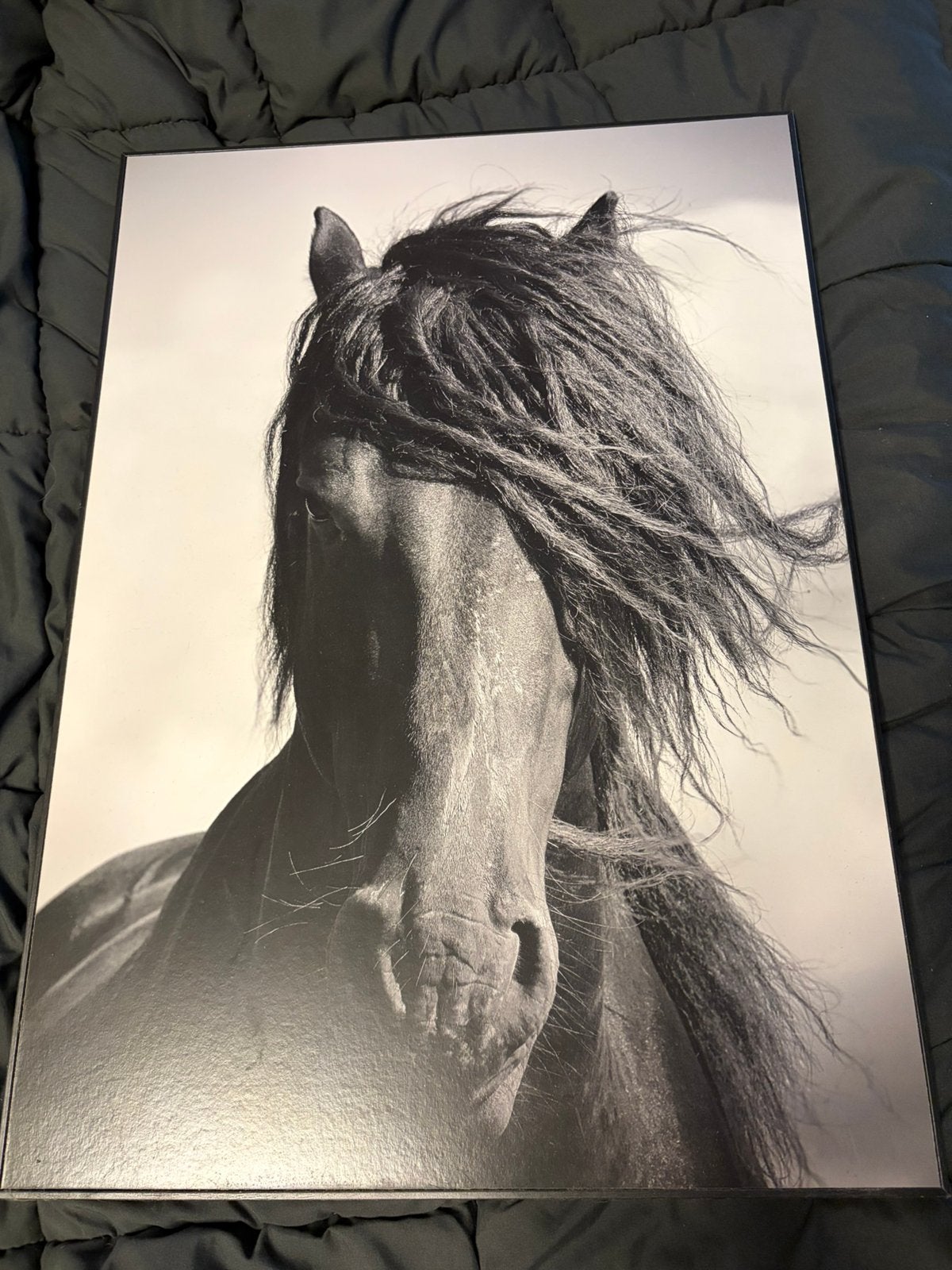 Schilderij paard., Ophalen, Schilderij, Zwart, Zo goed als nieuw