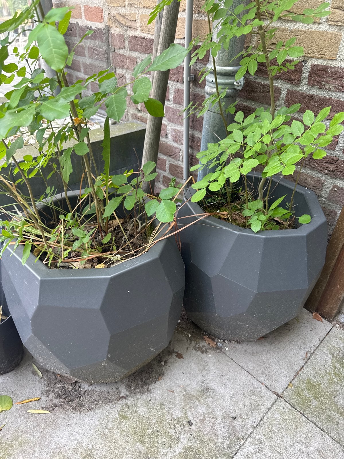 Twee Elho bloempotten, antraciet, gebruikt, Ophalen, Kunststof, Gebruikt, Balkon