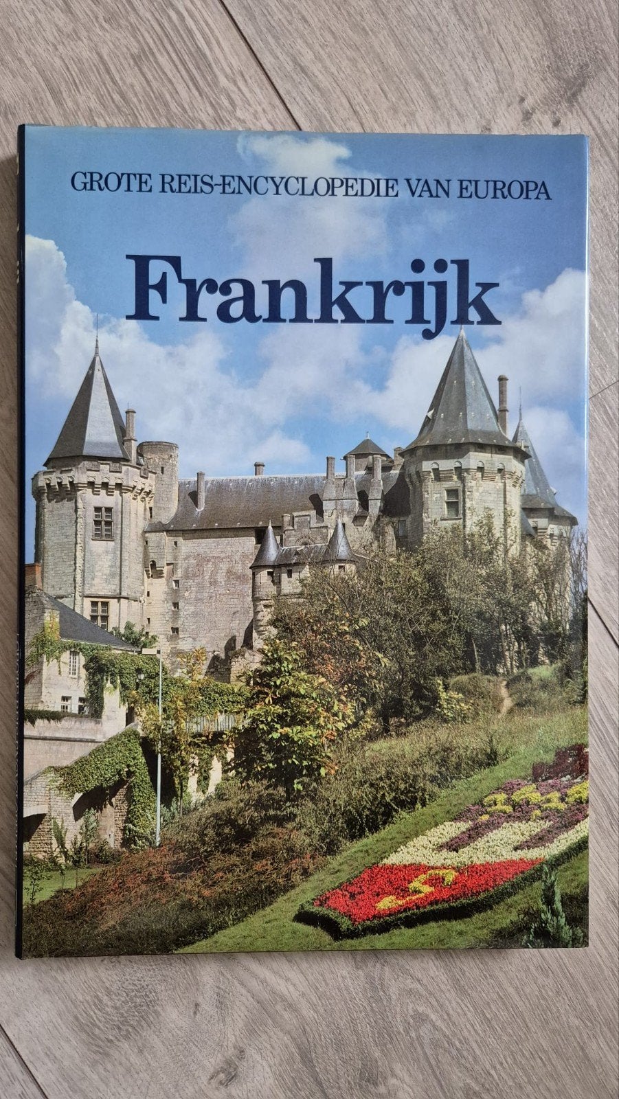 Grote Reis-Encyclopedie van Europa - Diverse delen, Boeken, Europa, Ophalen of Verzenden, Reisgids of -boek, Gelezen