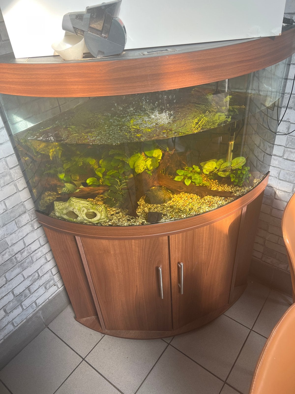 Hoek aquariumm, Dieren en Toebehoren, Vissen | Aquaria en Toebehoren, Ophalen