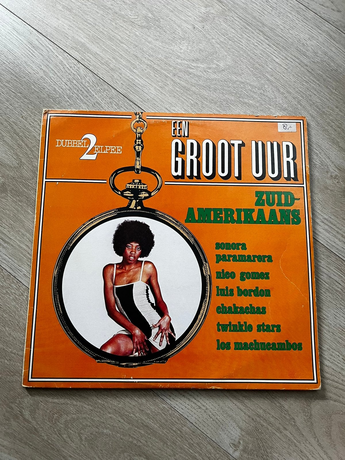 Een groot uur Zuid Amerikaans muziek, Cd's en Dvd's, Ophalen of Verzenden, Gebruikt, Overige formaten